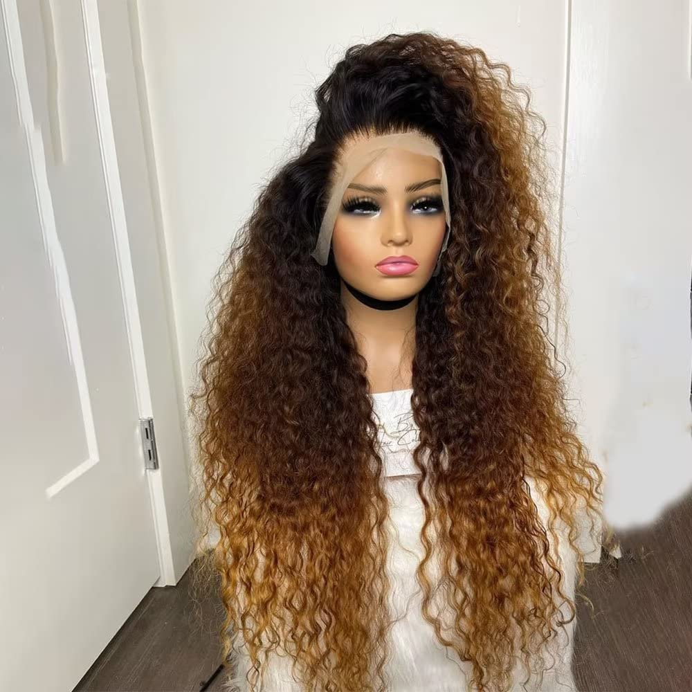 13x6 Curly HD Transparent Lace Front Human Wig for Women Ombre 1B30 Colored Brazilian Remy Hair With Baby Hair Pre Plucked Natural Hairline Bleached Knots Glueless Wig 150% Density 18 Inch