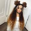 13x6 Curly HD Transparent Lace Front Human Wig for Women Ombre 1B30 Colored Brazilian Remy Hair With Baby Hair Pre Plucked Natural Hairline Bleached Knots Glueless Wig 150% Density 18 Inch view 2