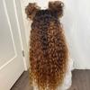 13x6 Curly HD Transparent Lace Front Human Wig for Women Ombre 1B30 Colored Brazilian Remy Hair With Baby Hair Pre Plucked Natural Hairline Bleached Knots Glueless Wig 150% Density 18 Inch view 3