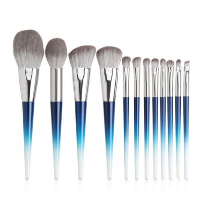 Feiyxu Makeup Brush Set 12pcs Makeup Brushes Set Powder Foundation Brush Eye Shadow Eyebrow Professional Blush Makeup Brush Tools (Color : Blue)