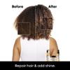 L'Oral Professionnel Paris Absolut Repair Shampoo, Conditioner & Mask Hair Set - Protein Treatment For Dry & Damaged Hair, Repairs Damage & Provides Shine view 3