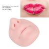 Dioche Silicone Piercing Model with Mouth, Flexible Soft Imitation Nose Model, Reusable Nose Displays for Teaching Piercing Practice, Approx. 7 x 7.5 x 4.2cm (Light Skin Color) view 3