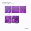 Hemway Ultra Sparkle Glitter - Purple | 100g Multi Size Metallic Flakes for Resin & Epoxy Crafts | Supplies for Halloween Craft and Decorations, Autumn Decor, Masks, Art view 3