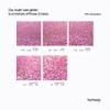 Hemway Ultra Sparkle Glitter - Rose Pink Holographic | 100g Multi Size Metallic Flakes for Resin & Epoxy Crafts | Supplies for Tumblers, Festival, Art, Decoration view 3