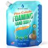 Bastion Foaming Hand Soap Refills: 32oz Pouch Pina Colada Scented Antibacterial Instant-Foam Bulk Hand Wash view 1
