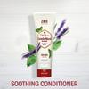Old Spice Men's Sulfate Free Shampoo and Conditioner Set with Lavender & Mint Scent, Gentleman's Blend (14.8 Fl Oz & 8 Fl Oz) view 4
