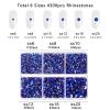 Beadsland 4300pcs Flatback Rhinestones,Royal Blue Rhinestone Nail Gems Round Crystal Rhinestones for Crafts,Mixed 6 Sizes with Picking Tweezers and Wax Pencil Kit, SS6-SS20,Sapphire view 4