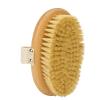 Body Brush, Exfoliating Body Skin Scrubber, Beech Wood Skin Brush with Massage Effect for Legs Foot, Skin Firming Removes Dead Skin, for Body, Back, Leg,Foot view 1