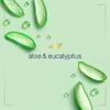 Dove Nourishing Foaming Hand Wash Touchless Dispenser Refill Aloe and Eucalyptus Moisturizing Hand Wash for Lasting Nourishment 10.1 oz 6-pack view 3