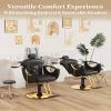 Baasha Ergonomic Reclining Hair Salon Chair, Gold Styling, Removable Headrest, 360 Swivel, Black view 4
