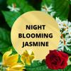 Black Canyon Night Blooming Jasmine Scented Argan Oil Hair Shampoo, 16 Oz view 2