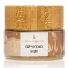 Elina Organics Cappuccino Balm .5oz  Natural Lip, Eye & Face Moisturizer for Dry Skin  Coffee-Infused Shea Butter Balm with Aloe Vera & Vitamin E  Anti-Aging, Hydrating & Protective Skincare view 1