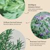 Fraijour Artemisia Bubble Facial Foam  Korean Instant Foaming Face Cleanser for Dry & Sensitive Skin, Hydrating & Gentle Daily Wash, pH Balanced with Plant Extracts, Touchless Dispensing, 7.05 oz. view 3