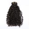 Greatremy Curly Wave Clip in Brazilian Human Hair Extensions for Women 10PCS Thick Hairpieces with 21Clips Double Lace Weft 160 Gram Per Set (12inch, Natural Black) view 4