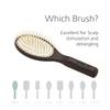 Ibiza Hair Oval Detangling Brush with Natural Wooden Pins (CX1) | Stimulates Scalp & Reduces Drying Time | Carbonized Wood for Durability & Lightweight | Hypoallergenic view 4