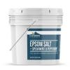 Earthborn Elements Spearmint & Peppermint Epsom Salt Foot Soak, 1 Gallon Bucket, Minty Aroma, with Real Spearmint Leaves (8 Pounds) view 3