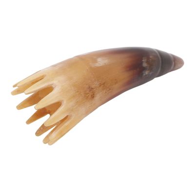 Horn Comb, Massage Comb Horn Shape Smoothly Appearance Portable Delicate Teeth Scalp Massager Brush