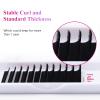 Eyelash Extensions 0.05 CC Curl 8-14mm Regular Volume Lash Extensions Premium Silk Volume & Classic Lashes Matte Dark Professional Eyelash Extension Supplies (0.05-CC, 8-14mm Mix) view 4