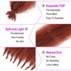 16Inch Springy Afro Twist Hair 6Packs Afro Twist Crochet Braiding Hair (16 Inch (Pack of 6), 350#)   view 3