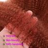 16Inch Springy Afro Twist Hair 6Packs Afro Twist Crochet Braiding Hair (16 Inch (Pack of 6), 350#)   view 4