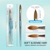PANA Pure Kolinsky Hair Acrylic Nail Brush - Oval Crimped Teal Wood Handle (Size 12) view 3