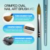 PANA Pure Kolinsky Hair Acrylic Nail Brush - Oval Crimped Shape Silver Ferrule with Teal Wood Handle (Size 10) view 2