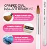 PANA Pure Kolinsky Hair Acrylic Nail Brush - Oval Crimped Shape Silver Ferrule Clear Acrylic Handle (Size 12) - Nail Extension Manicure Pedicure Salon Beginner & Professional view 2
