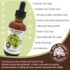 Best Nature's Cosmetics  Pure & Natural Indian Amla Oil  Indian Gooseberry Oil  Nourish the Scalp  Condition Dry and Brittle Hair  For Strong and Shiny Hair  60 ml / 2 fl oz view 2