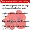 BETT Attar Ayurveda Hibiscus Powder for Hair Growth (100 Grams) (100 Grams) view 3