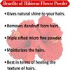 BETT Attar Ayurveda Hibiscus Powder for Hair Growth (100 Grams) (100 Grams) view 4