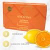 Anovina 12XL Citrus Shower Steamers  Aromatherapy Gift Set Made in USA  Spa-Like Shower Tablets for Women & Men view 4