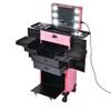 BYOOTIQUE Masslux Pink Rolling Makeup Case with Mirror Light Pro Large Cosmetic Trolley Lockable with Mirror Light Pro Large Cosmetic view 1