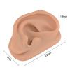 Acupuncture Ear Model, Right Artificial Ear Replica for Auricular Therapy Teaching, Silicone Ear Simulator Acupuncture Practice Authentic Human Ear Simulation view 2