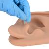 Acupuncture Ear Model, Right Artificial Ear Replica for Auricular Therapy Teaching, Silicone Ear Simulator Acupuncture Practice Authentic Human Ear Simulation view 3