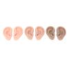 Professional Ear Piercing Model, 3 Pairs 3 Colors Silicone Ear Model view 1