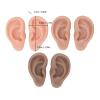 Professional Ear Piercing Model, 3 Pairs 3 Colors Silicone Ear Model view 2