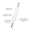 The Brush & Blast FasciaBlaster by Ashley Black - The Ultimate Skin and Fascia Tool view 4