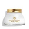 L'Occitane Immortelle Shea Body Balm 6.90 oz view 1