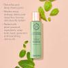 CIRCCELL Geothermal Clay Cleanser and Dew pH Perfector Set- Hydrating & Brightening Skin Treatment for All Skin Types view 4