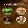 Pure Carrier and Essential Oils for Skin Care, Hair, Body Moisturizer for Face-Anti Aging Skin Care (Sacha Inchi Oil Organic, 4oz) view 3