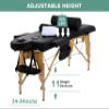 Massage Tables Portable Lash Bed 73 inch Tattoo Table, Height Adjustable Portable Spa Bed, 2 Folding Chiropractic Table w/Carry Case/Face Cradle/Hand Pallet/Towel Hanger/Oil Pouch/Sheet/2 Bolster view 2