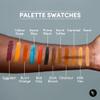 Narrative Cosmetics 12 Color Dark Flesh Tone Alcohol Activated Makeup Palette Kit - Includes Alcohol Activator and Moisturizing Remover - Waterproof Makeup for Professional Makeup Artists view 2