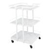 Esthetician Cart with Wheels Utility Salon Rolling Trolley, White Mobile Storage Organizer for Beauty Spa Cosmetology Massage, Tattoo Manicure Facial Tool Holder Station view 1