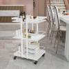 Esthetician Cart with Wheels Utility Salon Rolling Trolley, White Mobile Storage Organizer for Beauty Spa Cosmetology Massage, Tattoo Manicure Facial Tool Holder Station view 2