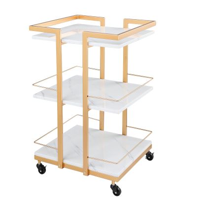 Esthetician Cart with Wheels Utility Salon Rolling Trolley, Gold Mobile Storage Organizer for Beauty Spa Cosmetology Massage, Tattoo Manicure Facial Tool Holder Station