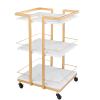 Esthetician Cart with Wheels Utility Salon Rolling Trolley, Gold Mobile Storage Organizer for Beauty Spa Cosmetology Massage, Tattoo Manicure Facial Tool Holder Station view 1