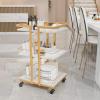 Esthetician Cart with Wheels Utility Salon Rolling Trolley, Gold Mobile Storage Organizer for Beauty Spa Cosmetology Massage, Tattoo Manicure Facial Tool Holder Station view 2