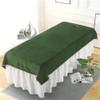 Massage Table Cover Sheet with Face Hole Massage Sheet Cover Solid Color Beauty Salon Spa Sheet Beauty Couch Cover for Massage Tables Bed Treatment-C 31x79inch(80x200cm) view 1