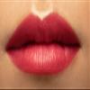 Bighiza Lipstick, Super high-impact color with shea butter that actively hydrate and nourish lips - With FREE Lip Gloss - Moisturizing Creamy Formula (Chili) view 2