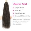 18 Inch Passion Twist Hair, Water Wave Crochet Hair Passion Twist Crochet Hair for Women Long Bohemian Synthetic Curly Braiding Hair Extensions Passion Twists Braiding Hair (18 Inch (Pack of 2), #4) view 2